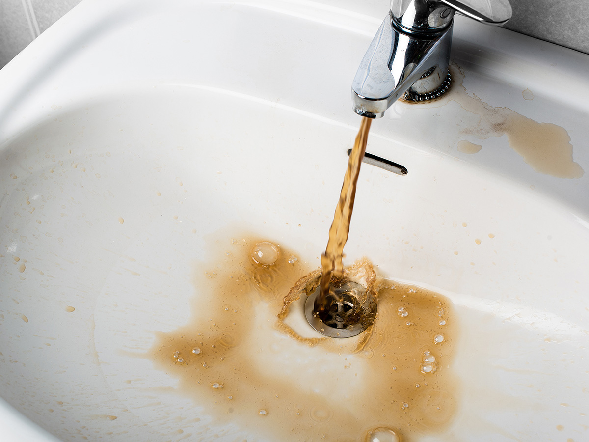 Contaminated water from a faucet